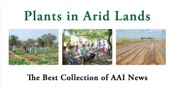 Plants in Arid Lands The Best Collection of AAI News